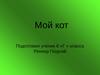 Мой кот