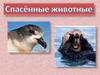 Спасённые животные