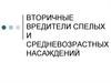 Вторичные вредители спелых и средневозрастных насаждений. (Лекция 12)