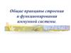 Строение иммунной системы