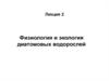 Физиология и экология диатомовых водорослей