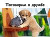 Поговорим о дружбе