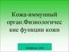 Кожа-иммунный орган. Физиологические функции кожи
