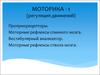 Проприорецепторы. Моторные рефлексы спинного мозга. Вестибулярный анализатор. Моторные рефлексы ствола мозга