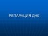 Репарация ДНК