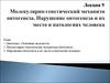 Молекулярно-генетический механизм онтогенеза. Нарушение онтогенеза и их место в патологиях человека. (Лекция 9)