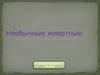Необычные животные