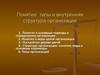 Понятие, типы и внутренняя структура организации