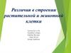 Различия в строении растительной и животной клетки