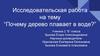 Исследовательская работа на тему “Почему дерево плавает в воде?”