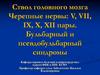 Ствол головного мозга. Черепные нервы V, VII, IX, X, XII пары. Бульбарный и псевдобульбарный синдромы