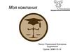 Моя компания. Резюме и описание фирмы. Услуги. Организационный план. Финансовый план. Риски и гарантии