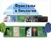 Фракталы в биологии
