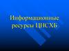 Информационные ресурсы ЦНСХБ