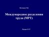 Экономические ресурсы и международное разделения труда