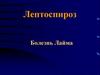 Лептоспироз. Болезнь Лайма