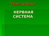 Тема урока: нервная система