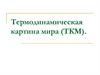 Термодинамическая картина мира