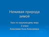 Неживая природа зимой. (2 класс)