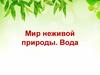 Мир неживой природы. Вода