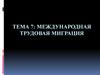 Международная трудовая миграция