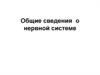 Общие сведения о нервной системе
