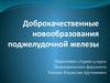 Доброкачественные новообразования поджелудочной железы
