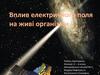 Вплив електричного поля на живі організми