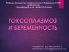 Токсоплазмоз и беременность