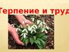 Терпение и труд