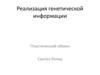 Реализация генетической информации. Пластический обмен. Синтез белка