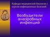 Возбудители анаэробных инфекций