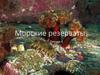 Морские резерваты