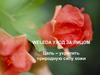Уход за лицом. Косметика от компании Weleda