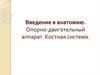 Введение в анатомию. Опорно-двигательный аппарат. Костная система