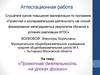 Аттестационная работа. Проектная деятельность на уроках физики
