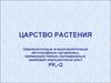 Царство растения. Одноклеточные и многоклеточные автотрофные организмы