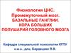 Физиология цнс. Промежуточный мозг. Базальные ганглии. Кора больших полушарий головного мозга