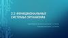 Функциональные системы организма