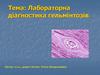Лабораторна діагностика гельмінтів