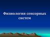 Физиология сенсорных систем