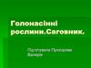 Голонасінні рослини. Саговник