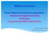 Маркетинговые исследования. Анализ исследовательской компании «MAGRAM MARKET RESEARCH»