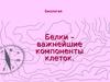 Белки - важнейшие компоненты клеток