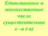 Единственное и множественное число существительных –а (-я)