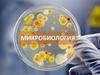 Микробиология