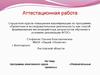 Аттестационная работа. Программа элективного курса проекты