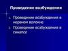 Проведение возбуждения в нервном волокне, синапсе