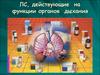 Лекарственные средства, действующие на функции органов дыхания