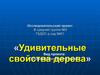 Исследовательский проект «Удивительные свойства дерева»